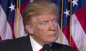 Image result for trump president elect