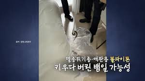 YTN - News update
