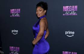 Megan Thee Stallion Says She’s ‘Just Overly Comfortable’ In Relationship With NBA Star Klay Thompson