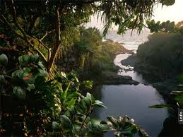 Image result for animated butterflies wallpaper