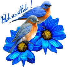 images?q=tbn:ANd9GcRIgNvbvNg3mul0JOT-HQiYHpOGlLSE0rxXM2nSkfOsifuVWAr_7g