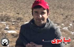 ضیا نبوی