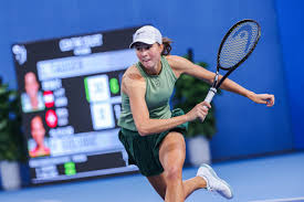 Lilli Tagger and Anna Blinkova to Compete in WTA Jiujiang 2025 Final