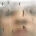 Hillary Clinton to Congress: Approve Obama's $1.9B Zika request now