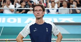 토트넘 경기 이미지