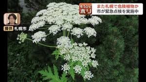 TBS NEWS DIG - News update