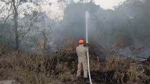 Estiagem e fogo provocado criam cenário para incêndios de grandes proporções, reforça Corpo de Bombeiros