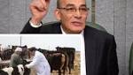 عاجل مصر اليوم السابع.. موجز