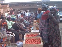 Image result for tomato post-harvest losses