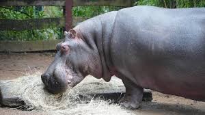 News source: Ouest-France