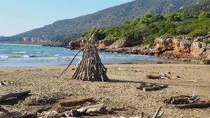Trend Google: cala di forno