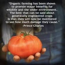 Organic Food Quotes on Pinterest | Farmers, Democracy Quotes and Food via Relatably.com