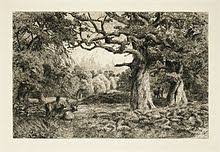 Image result for forest of arden shakespeare