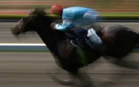 Image result for a double bet