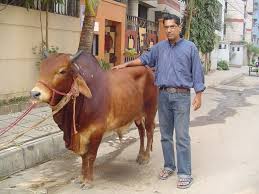 Image result for হাট বাজার নীতিমালা