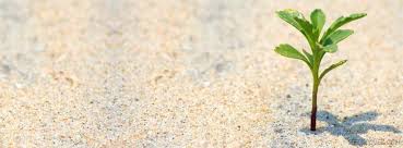 Image result for facebook cover photos