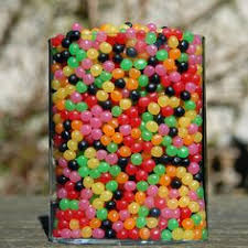 Résultat de recherche d'images pour "dragibus fashion"