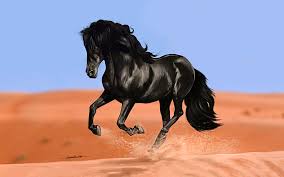 Image result for HORSE
