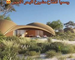 صورة منتجع ذا ريتز كارلتون ينبع البحر الأحمر في السعودية
