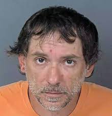 HCSO Arrests Public Records Results