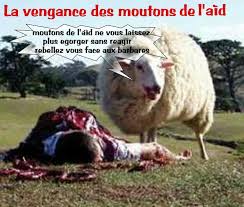 images?q=tbn:ANd9GcRJjOPKmUIqThp_bYoZg_ywhfJjmqevzM2EEU1myvICyz6m4-BrPg