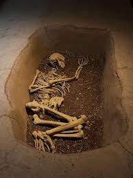 Şanlıurfa Museum is like a time machine for history lovers! 🏺 From the mysteries of Göbeklitepe to the grandeur of the Hitтιтes, this museum takes you on a journey through thousands of