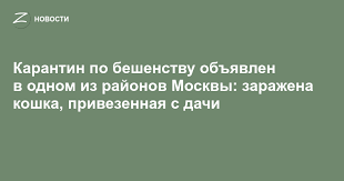 Zelenograd.ru - News update