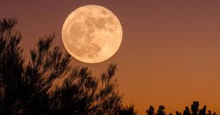 News source: Actualités – Orange