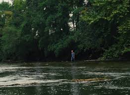 “La Rivière: Dominique Marchais Exposes the Race Against Time”