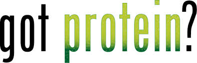 Image result for protein