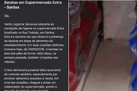Cliente filma barata em prateleira de pães em mercado no litoral de SP; VÍDEO