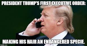 Image result for donald trump president memes