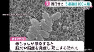 Yahoo!ニュース - News update