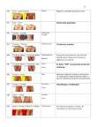 Centro Terapia Par Biomagntico y Cursos de Biomagnetismo