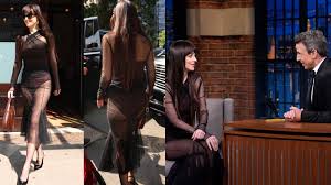 Dakota Johnson’s sexy, sheer look dubbed the 2025 ‘revenge dress’ by fans amid rumoured split with Chris Martin – Hindustan Times