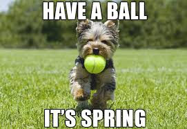 Image result for spring meme