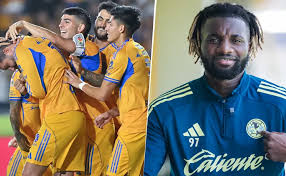 Bolavip - News update