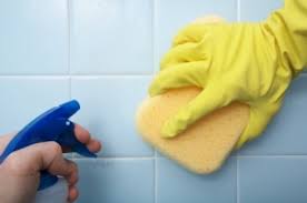 bathrroom cleaner ile ilgili görsel sonucu