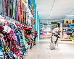 pet goods store in a department storeの画像