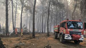 TRT Haber - News update