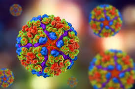 Chikungunya Outbreak In Seychelles. What’s Missing From CDC Warning