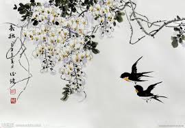 Image result for 燕子