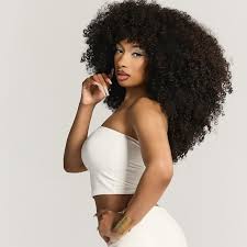 Megan Thee Stallion to Make Broadway Debut as Zidler in Moulin Rouge!