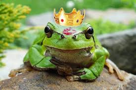 Resultado de imagem para principes e sapos fotos