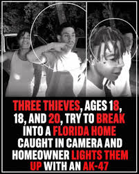 Three men, ages 18, 18, and 20, were caught on surveillance ...