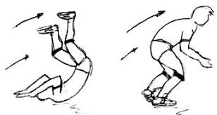 Resultado de imagen para rol educacion fisica