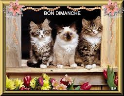 Résultat de recherche d'images pour "image bon dimanche gros bisous"