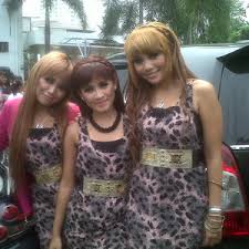 Hasil gambar untuk foto hot trio macan