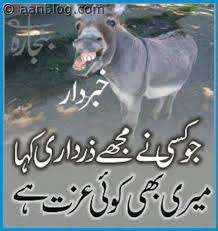 Image result for funny pakistani images