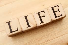 life. සඳහා පින්තුර ප්රතිඵල